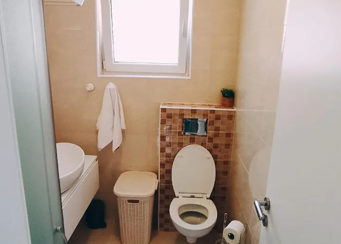 Apartament Rodin *